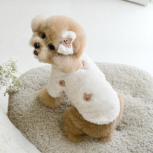 Elevate Your Cat's Style with the Bixin Pet Embroidery Cat Fluffy Jacket