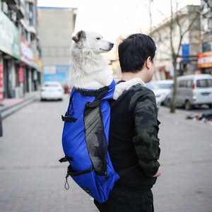 Explore the World with Your Furry Friend: The Ultimate Dog Carrier Backpack