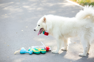 Why Interactive Toys Keep Pets Happy