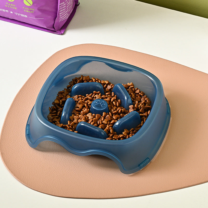 Slow Feed Anti-Choking Water and Food Bowl for Dogs