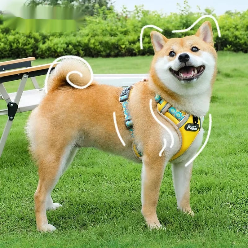 Vest-Style Pet Harness Leash for Small to Medium Dogs