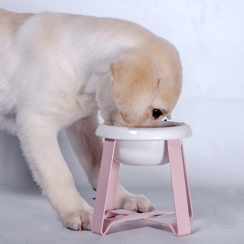 Creative Antislip Cat and Dog Feeding Bowl with Stand