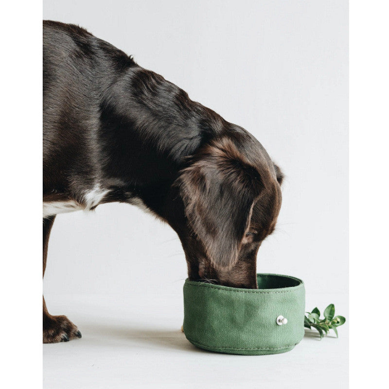 Folding Canvas Dog Bowl for Water and Food Feeding
