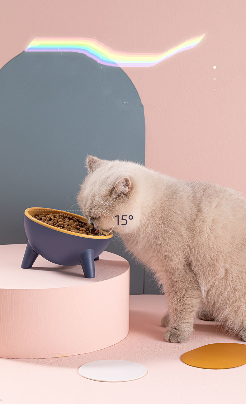 Cat and Dog Feeding Bowl with Stand for Small Pets