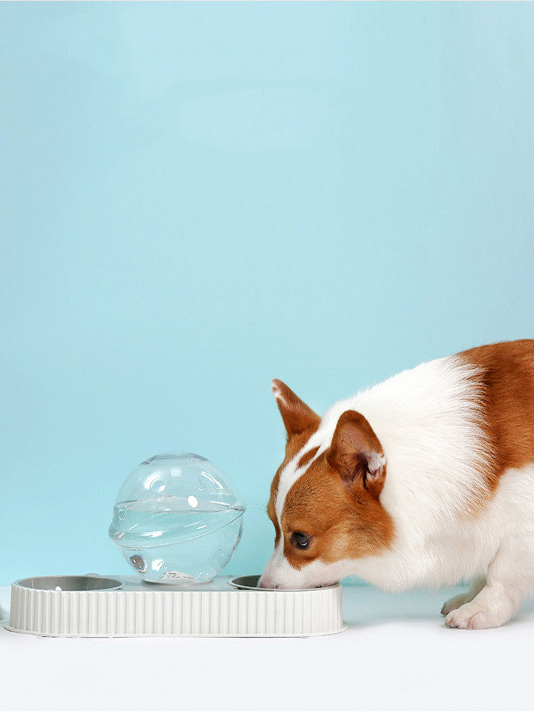 Automatic Plastic Pet Water and Food Bowl for Cats and Dogs