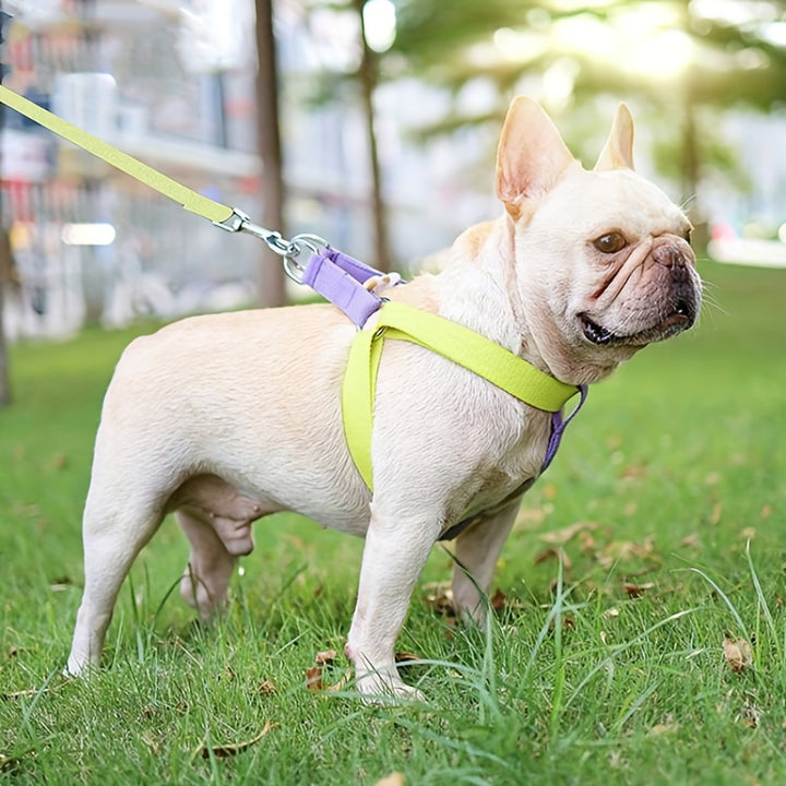 Rainbow Anti-Escape Cotton Dog Harness with Leash Set