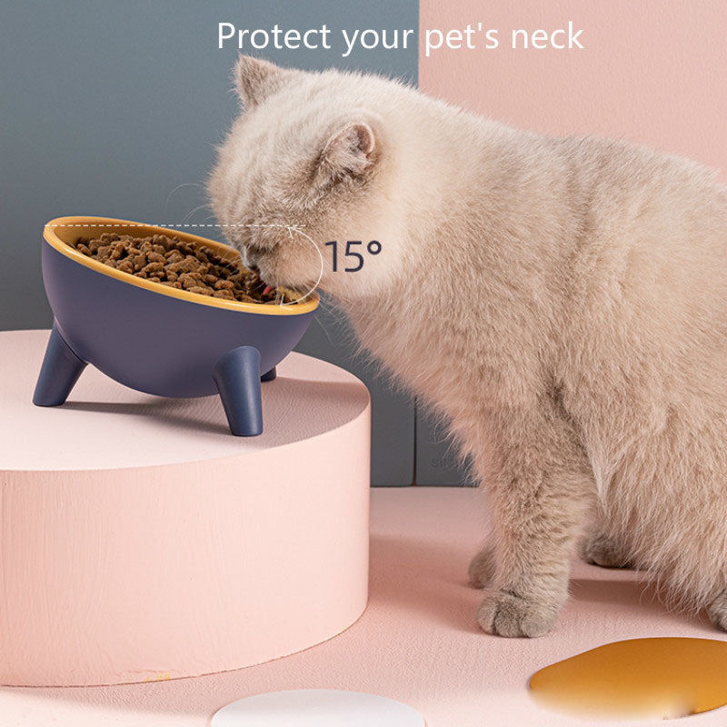 Cat and Dog Feeding Bowl with Stand for Small Pets
