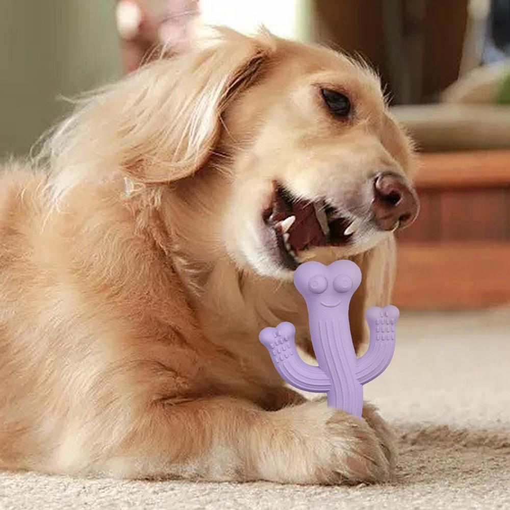 Cactus-Shaped Ultra Durable Interactive Dog Chew Toy