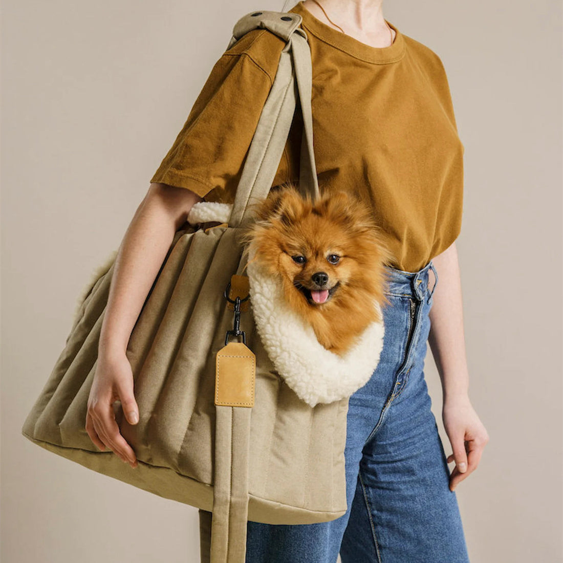 Lightweight Waterproof Pet Carrier Bag for Dogs and Cats