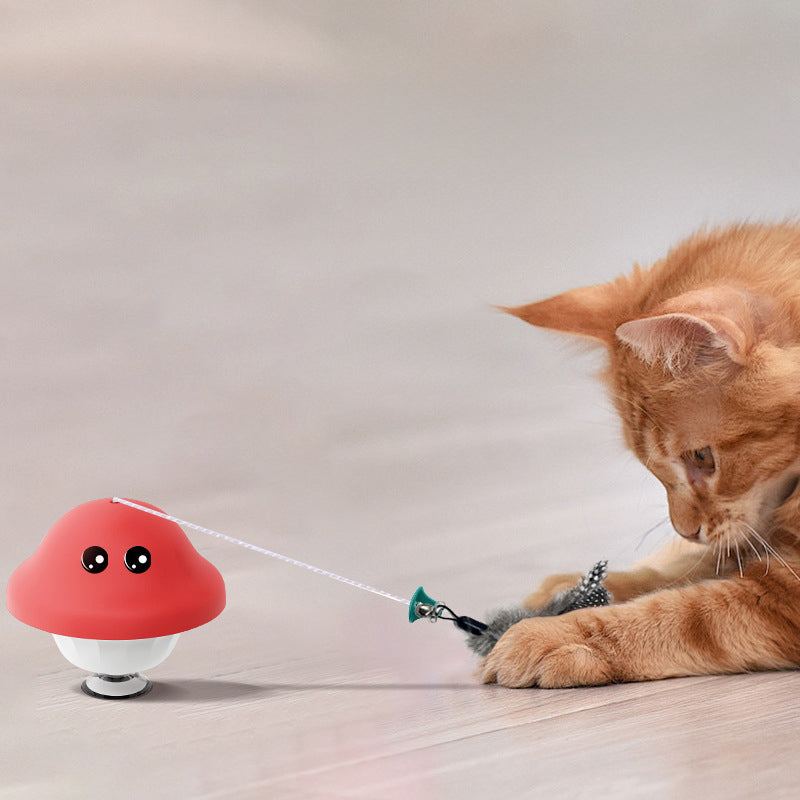 Retractable Cat Wand Teaser Toy for Indoor Kittens