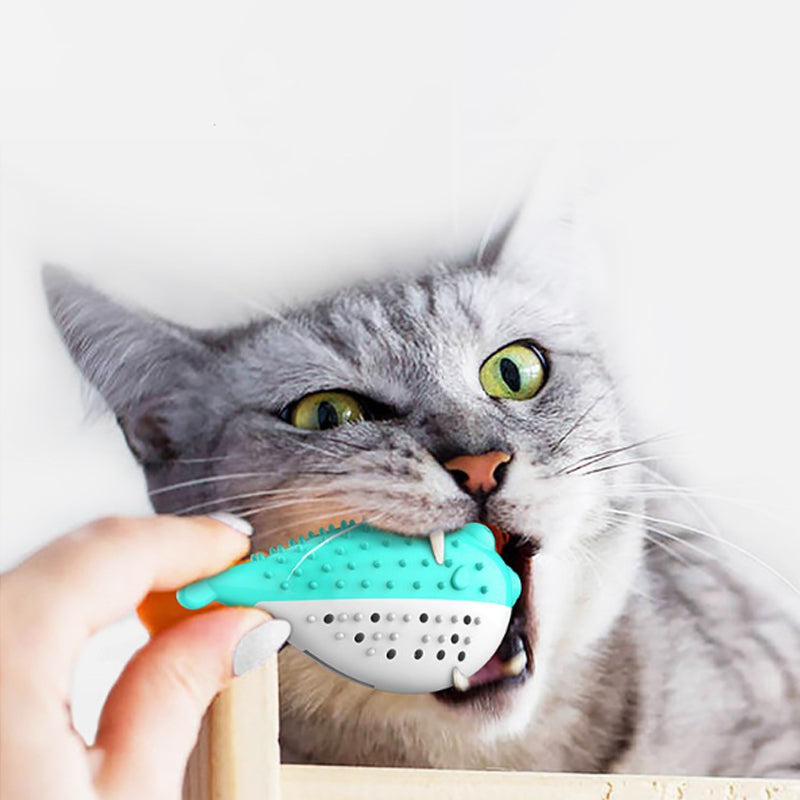 Silicone Cat Chew and Teaser Toys for Kittens