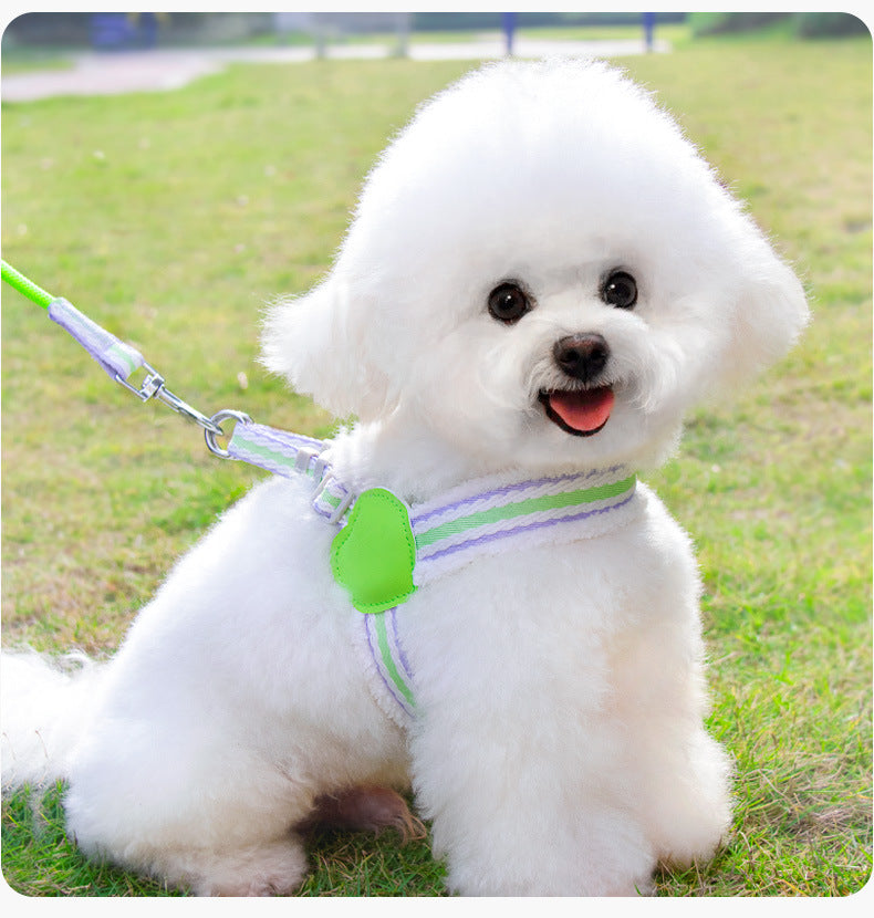 Breathable Summer Dog Vest Leash for Small & Medium Dogs