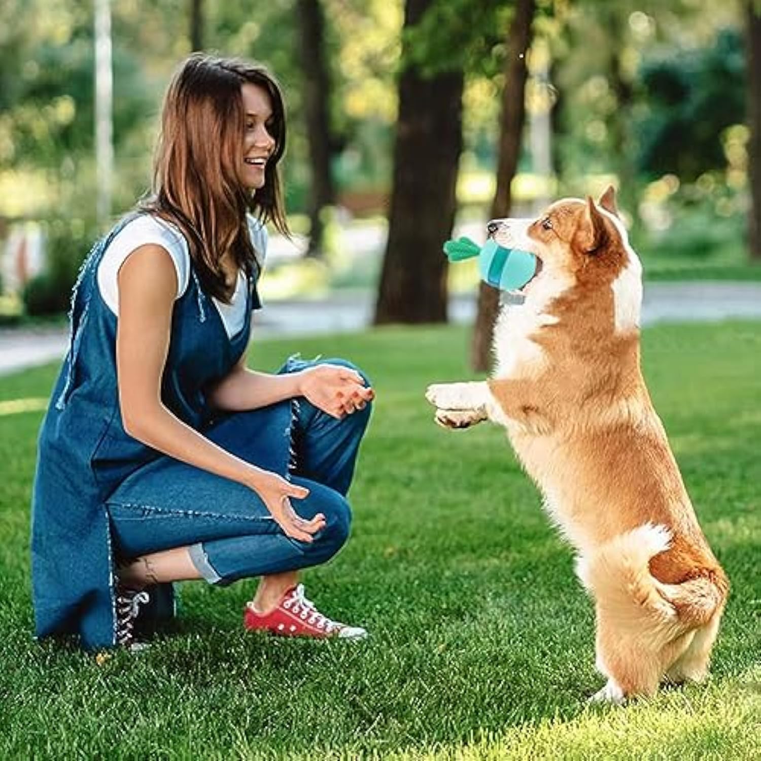 Interactive Treat-Dispensing Puzzle Toy for Medium and Large Dogs