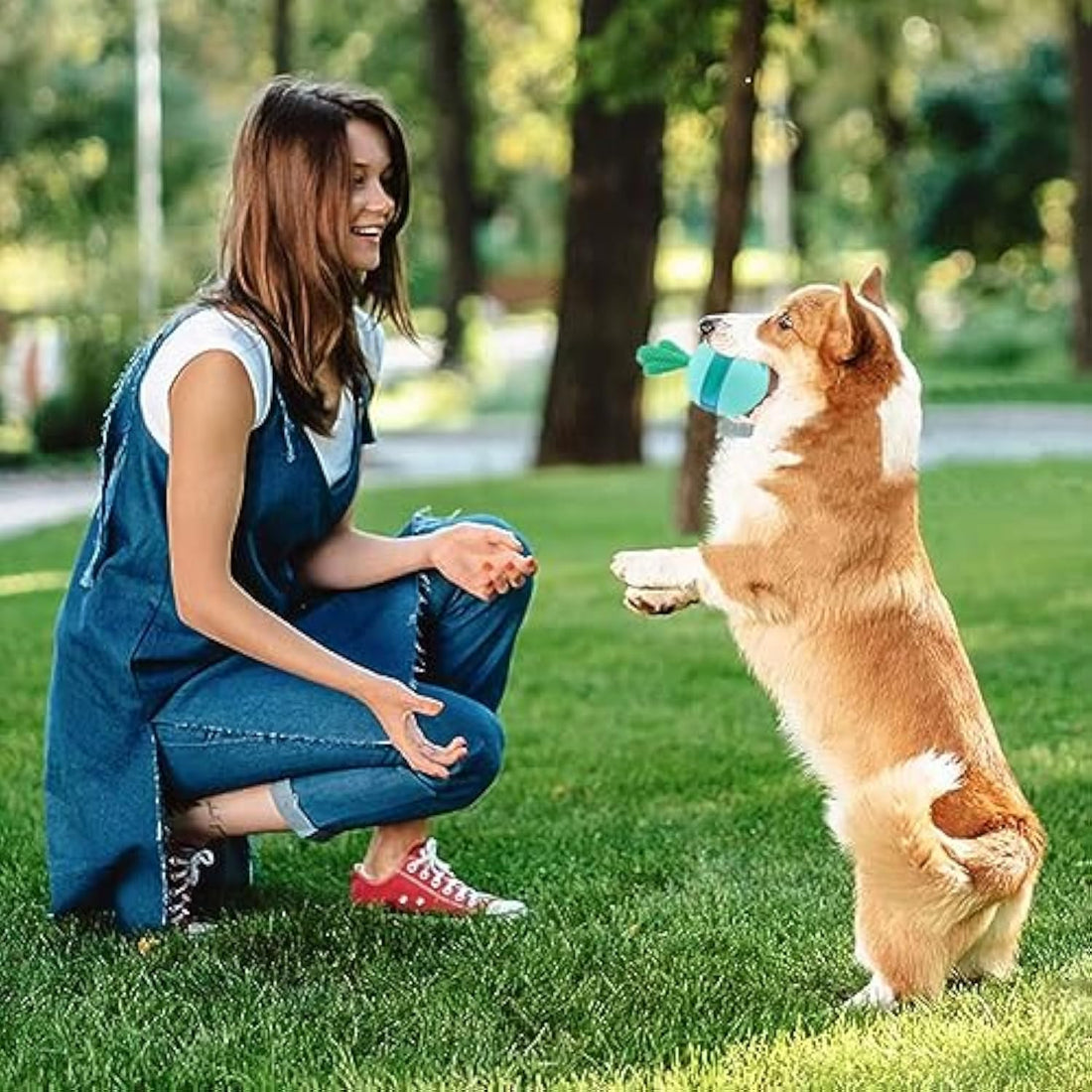 Interactive Treat-Dispensing Puzzle Toy for Medium and Large Dogs