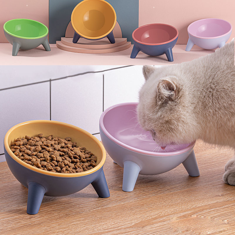 Cat and Dog Feeding Bowl with Stand for Small Pets