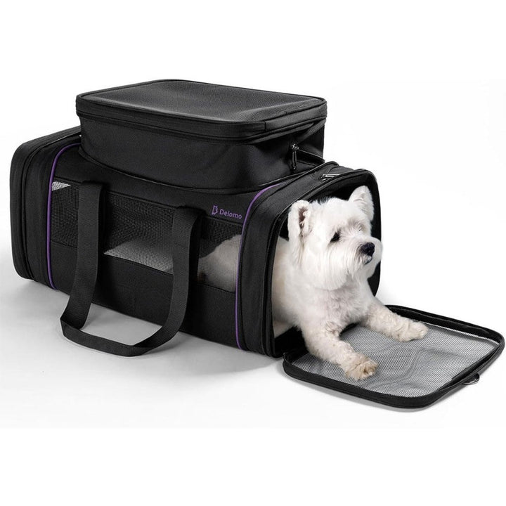 Expandable Soft Pet Carrier Bag for Travel
