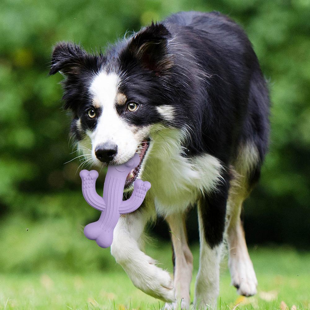 Cactus-Shaped Ultra Durable Interactive Dog Chew Toy