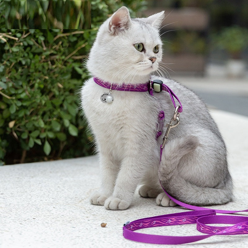 Pet Harness Vest with Bell Leash for Small Dogs & Cats