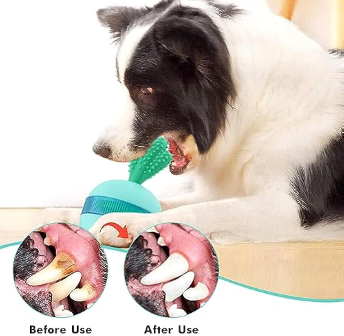 Interactive Treat-Dispensing Puzzle Toy for Medium and Large Dogs
