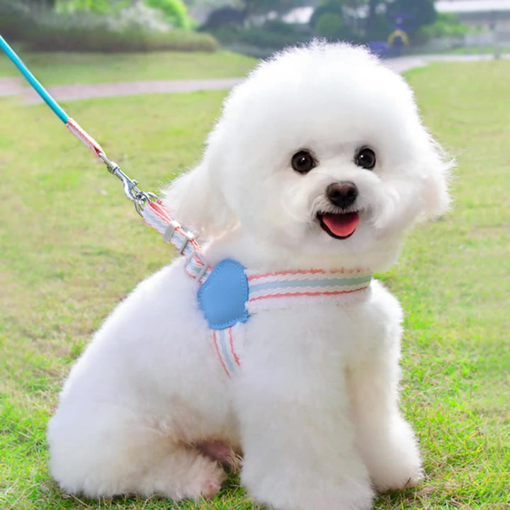 Breathable Summer Dog Vest Leash for Small & Medium Dogs