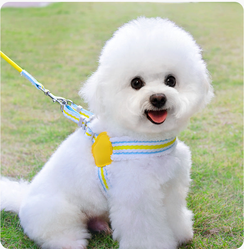 Breathable Summer Dog Vest Leash for Small & Medium Dogs