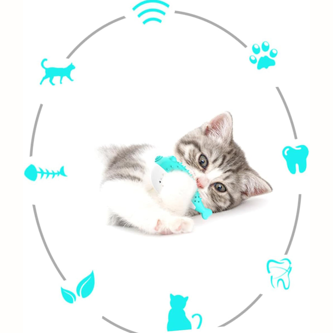 Silicone Cat Chew and Teaser Toys for Kittens