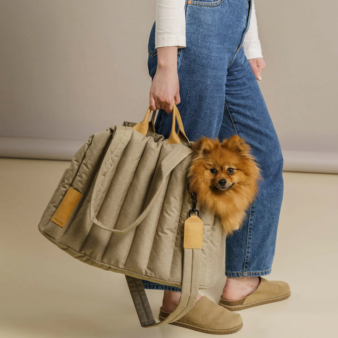 Lightweight Waterproof Pet Carrier Bag for Dogs and Cats