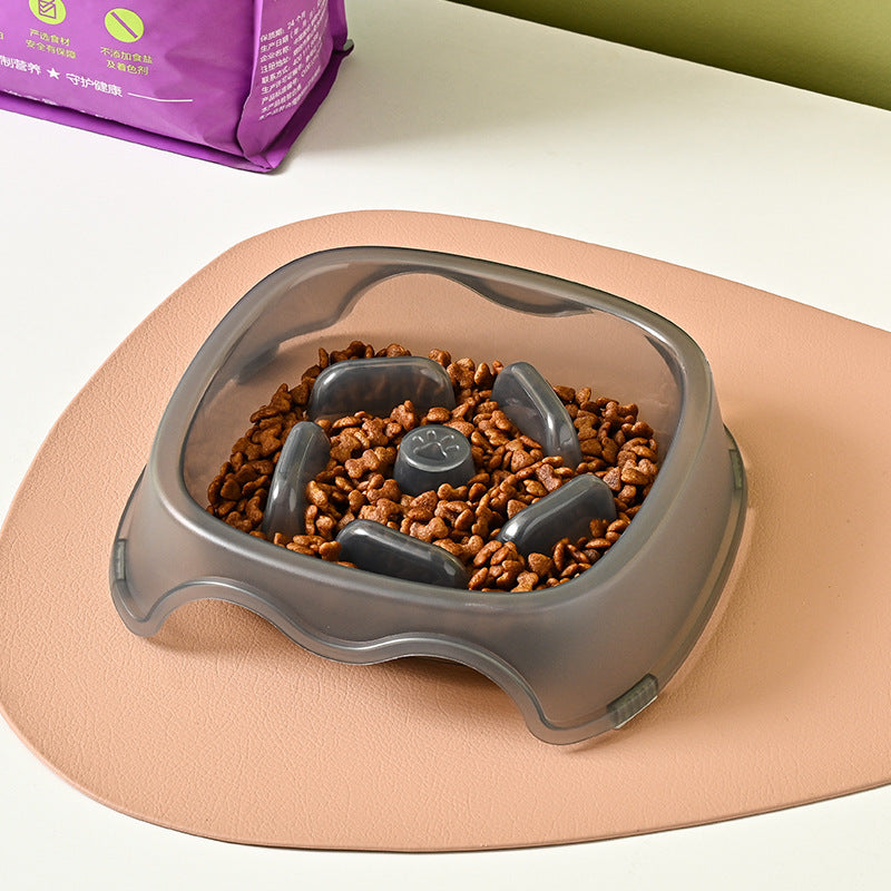 Slow Feed Anti-Choking Water and Food Bowl for Dogs