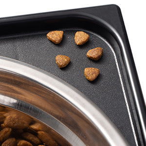 Pet Elevated Feeding Bowl with Neck Protection for Medium and Large Dogs