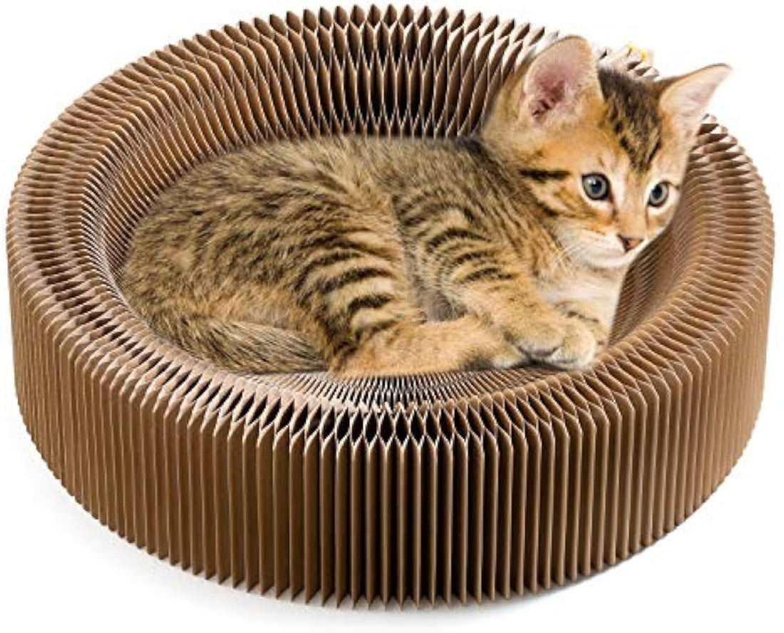 Collapsible Cardboard Cat Scratcher Lounge Bed for Large Cats