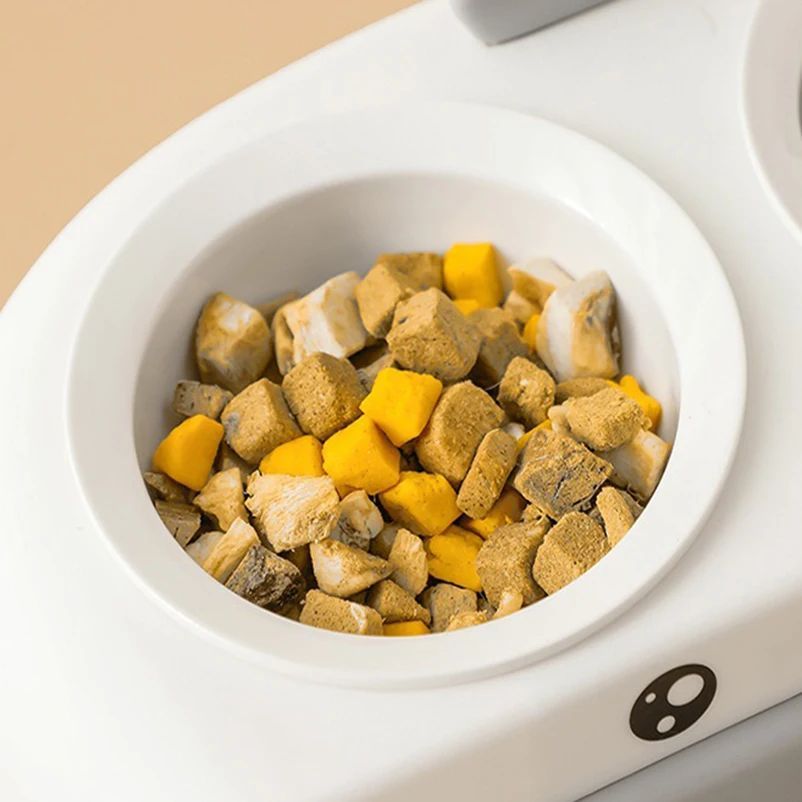 Duck Design Double Feeding Bowl for Cats and Dogs
