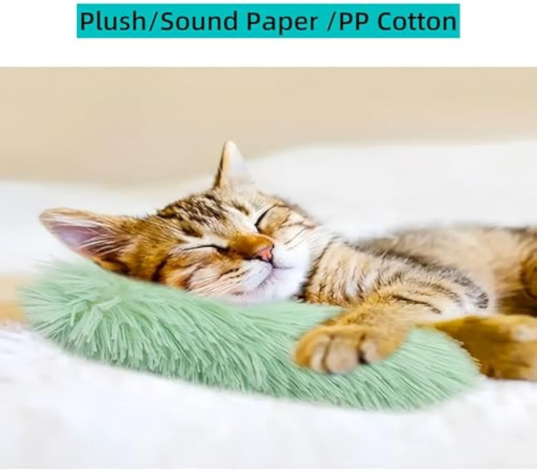 Interactive Catnip Crinkle Toys for Indoor Cats and Kittens