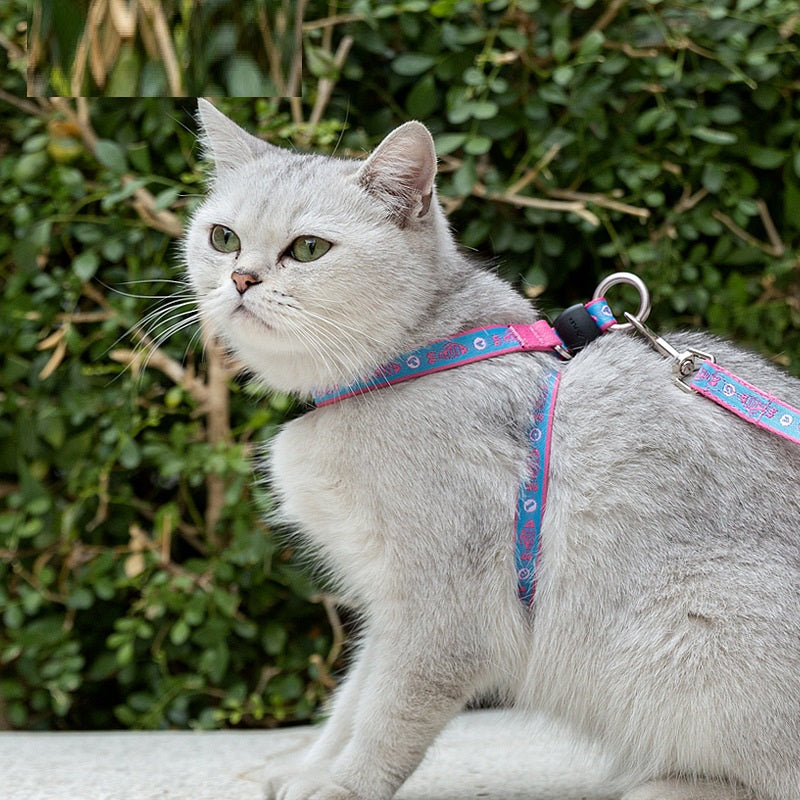 Pet Harness Vest with Bell Leash for Small Dogs & Cats