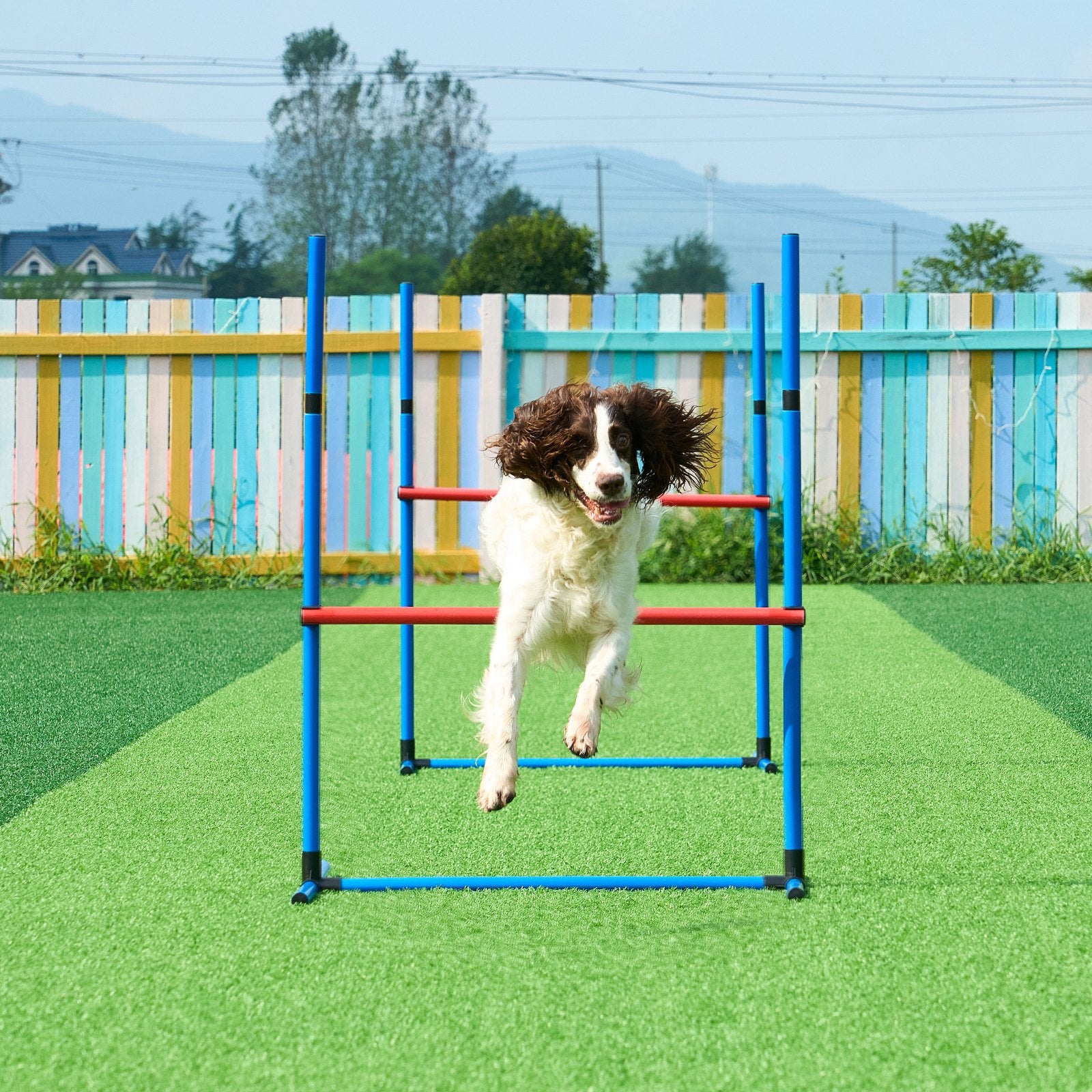Agility Training Equipment Set 7 Pcs Hurdles Tunnels Jump Ring