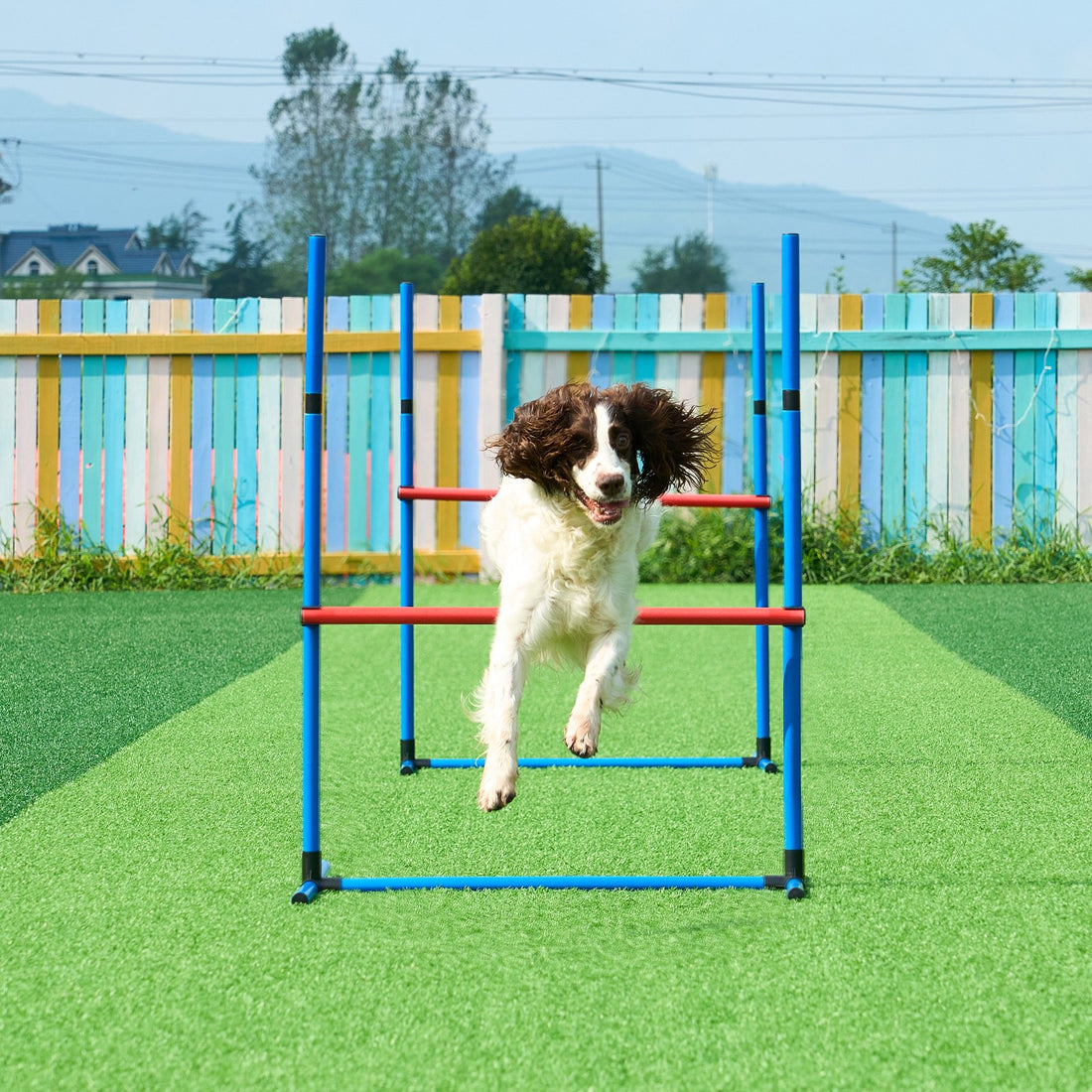 Agility Training Equipment Set 7 Pcs Hurdles Tunnels Jump Ring