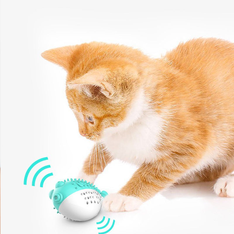 Silicone Cat Chew and Teaser Toys for Kittens