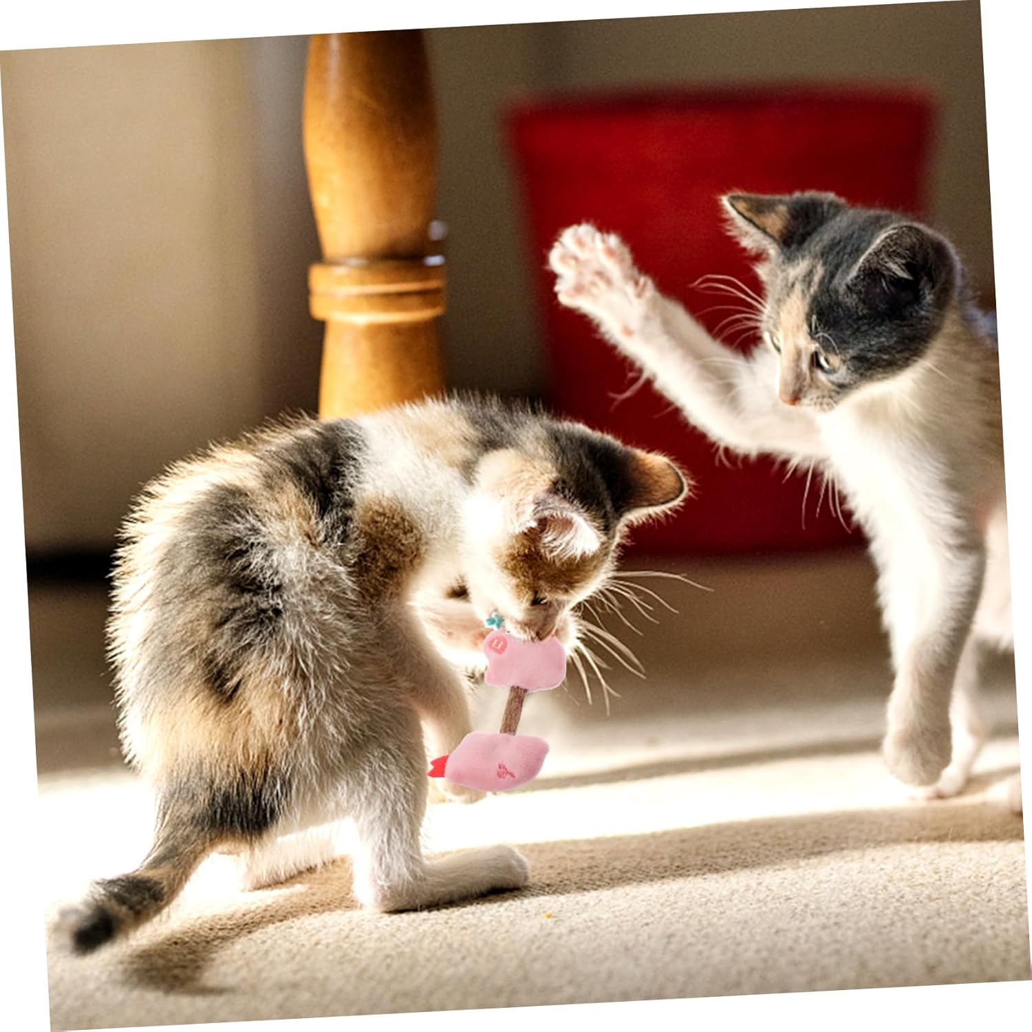 Silvervine Cat Chew Sticks for Teeth Cleaning and Play