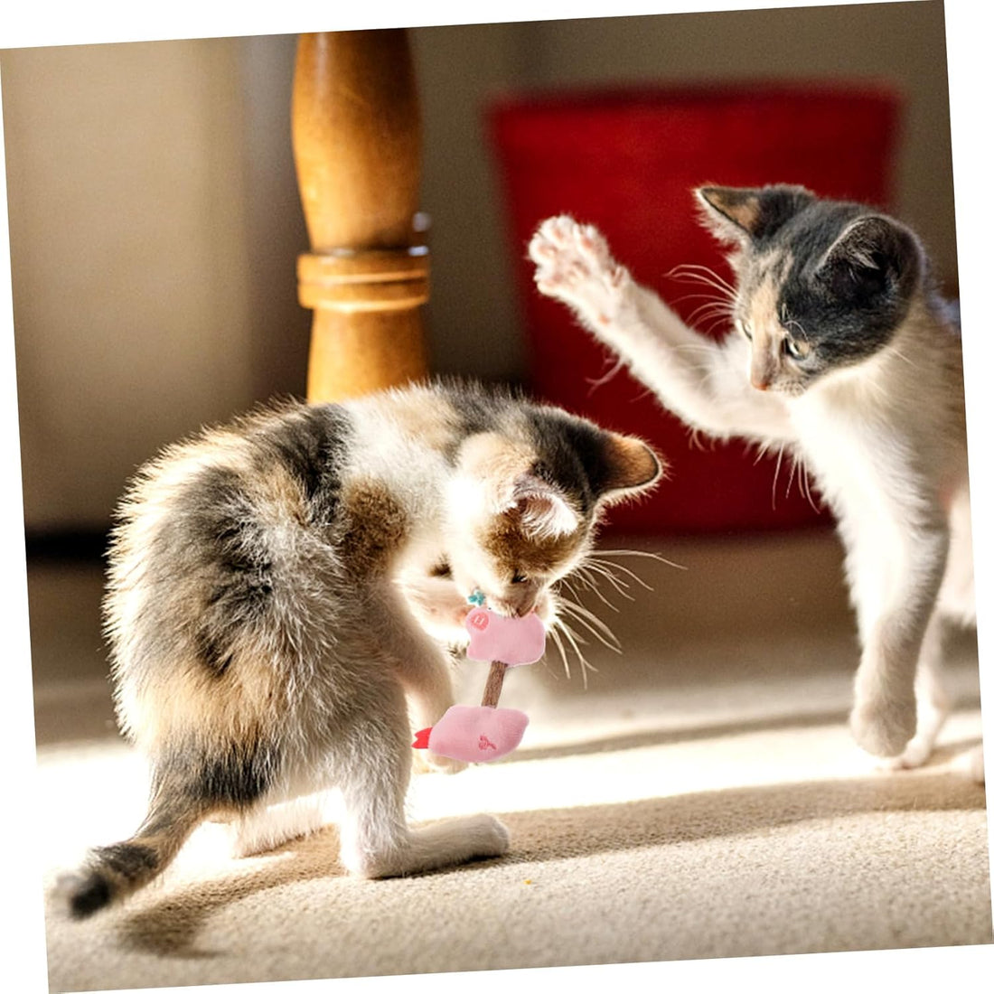Silvervine Cat Chew Sticks for Teeth Cleaning and Play