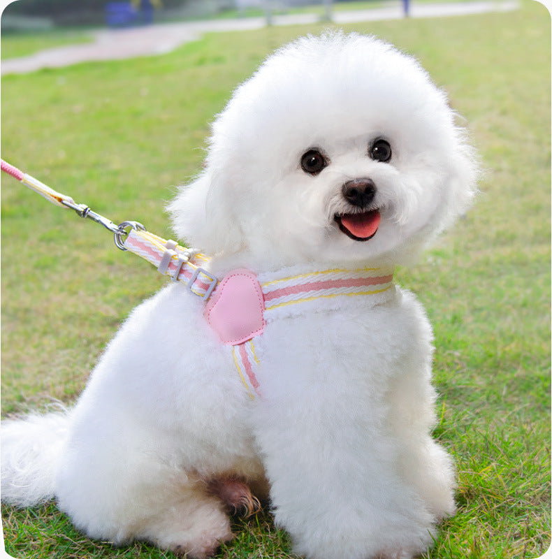 Breathable Summer Dog Vest Leash for Small & Medium Dogs