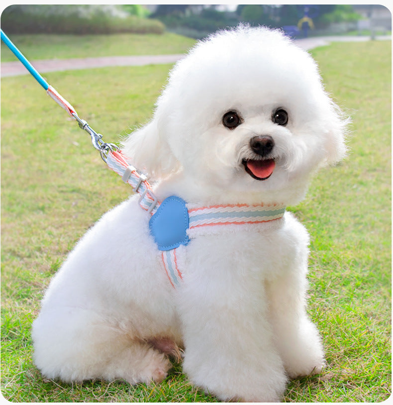 Breathable Summer Dog Vest Leash for Small & Medium Dogs