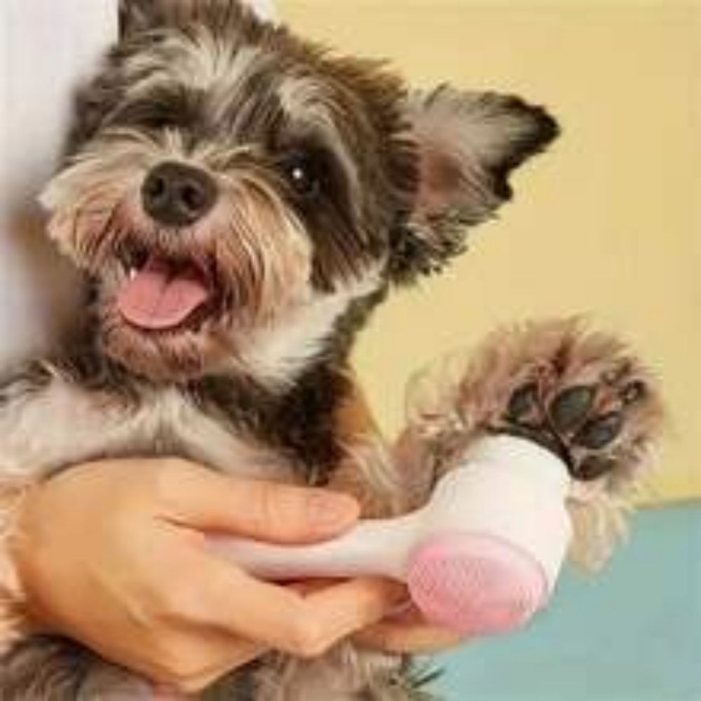 Easy Clean Nylon Pet Paw Grooming and Massage Brush