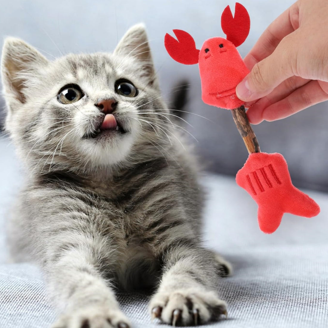 Silvervine Cat Chew Sticks for Teeth Cleaning and Play