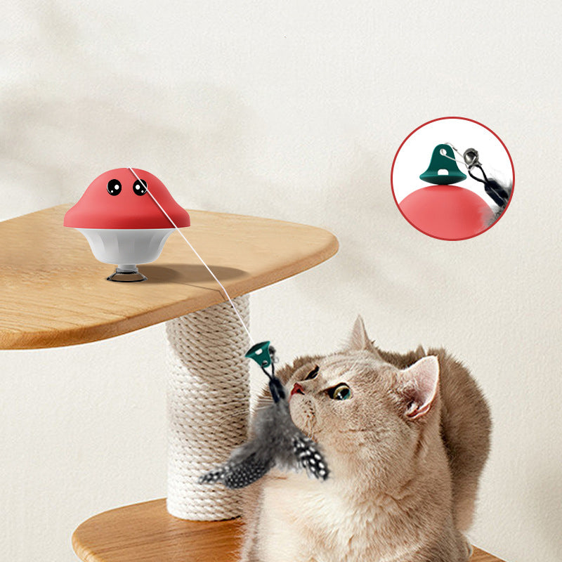 Retractable Cat Wand Teaser Toy for Indoor Kittens
