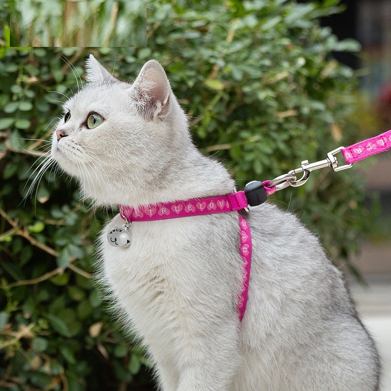 Pet Harness Vest with Bell Leash for Small Dogs & Cats